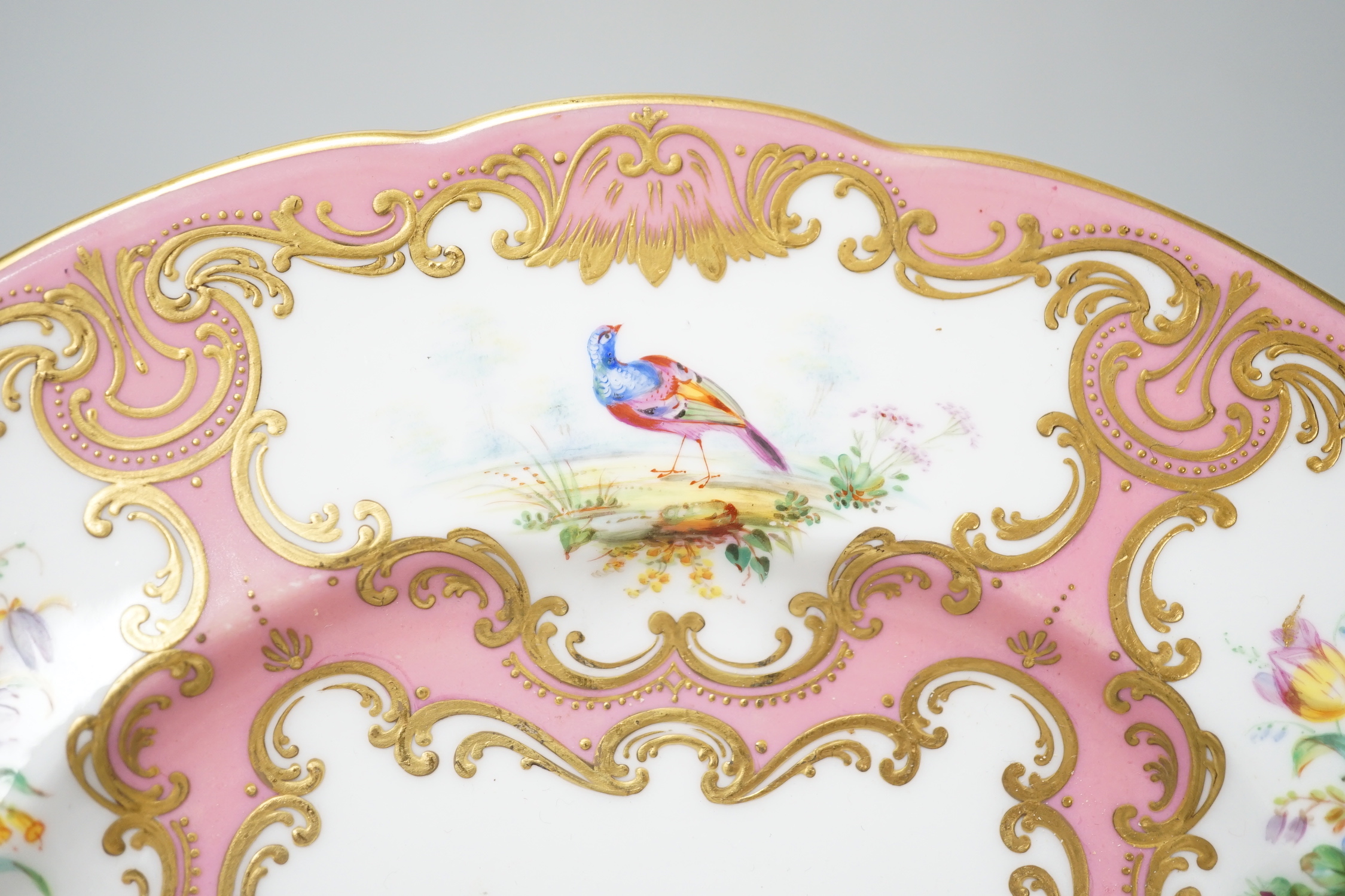 A Coalport plate painted with pink ground border, having alternating bird and flower panels and the centre with fruit and flowers, probably by Randall and Cook